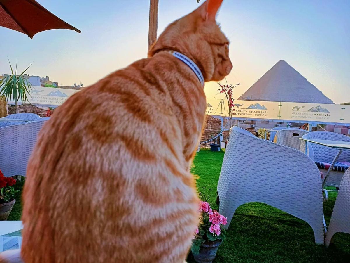 Hotel Carpet Alaadein Pyramids View Kafret el-Gabal Exterior foto